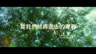 青春终将逝去