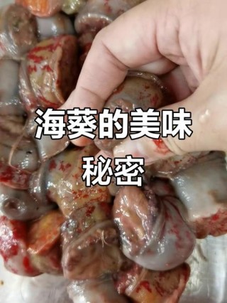 海葵