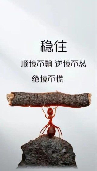 逆境中成长：分享一句让你坚强前行的励志名言