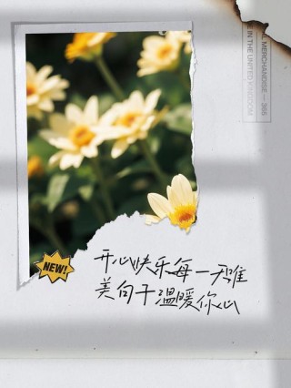 开开心心看句子，快快乐乐每一天