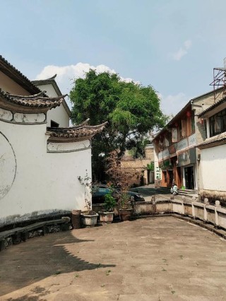 不跟风
