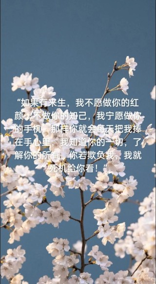 红颜易找，知己难求，别因“新鲜感”，就忘记了初心