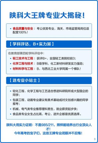 陕西科技大学王牌优势专业排名2025