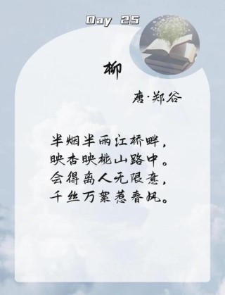 古代名人笔下的柳絮词：那些散落在时光深处的最美诗篇