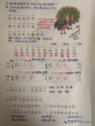 一年级第八单元复习要点