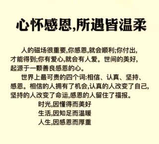 感谢知遇之恩的文案句子，感恩遇到伯乐的句子