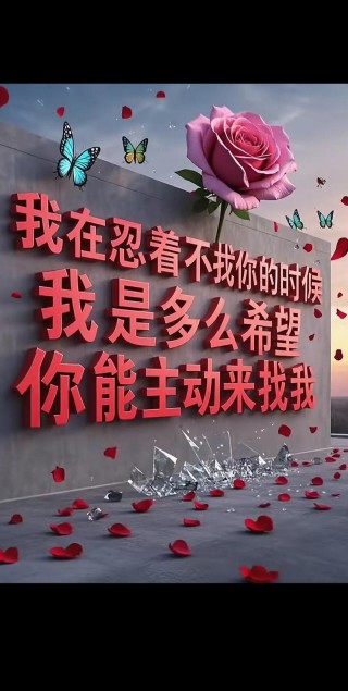 #既然我的感情留不住你的温柔 #睡不着的时候会不会有人陪着我