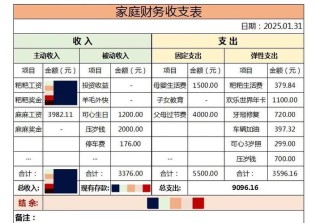 我家的年终账本
