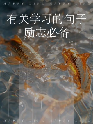 激励学习的句子，激励学习的句子，勇往直前，知识之路无止境。