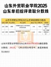 山东外贸职业学院2025年录取分数线是多少「在各省录取最低分」