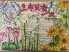 生命只有一次，把握珍惜