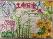 生命只有一次，把握珍惜