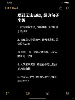 爱情感言经典句子，爱情感言，经典句子，诉说心声