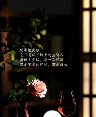 宁可做了失败，也别不做后悔