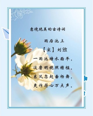 最唯美的诗句积累