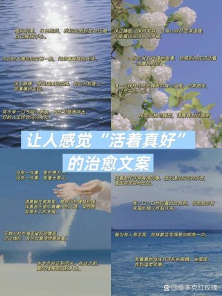 淡淡地活着真好