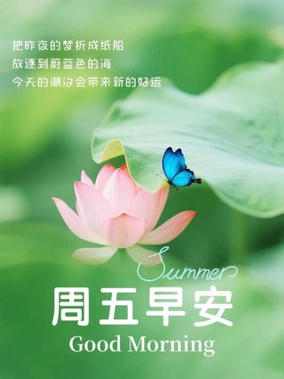 9月5日早上好问候语阳光句子 祝福朋友早安吉祥快乐微信说说文案
