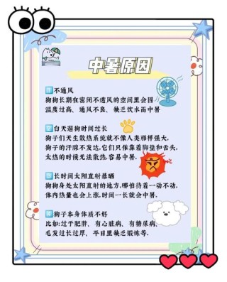 酷热夏天预防中暑小妙招