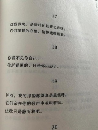 抒情诗：八歌——献给鸟的歌（之三）
