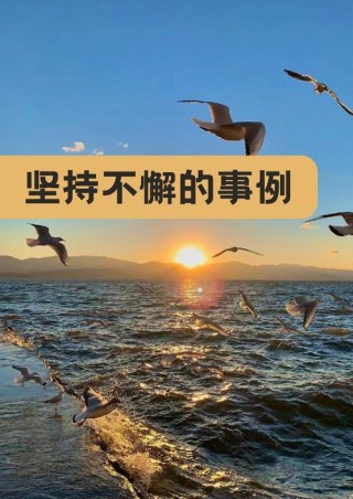 要坚持，更要专注