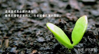 逆境让生命充满能量
