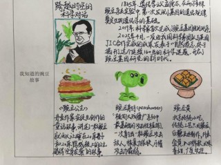 一颗豌豆，会长成什么？?励志文章