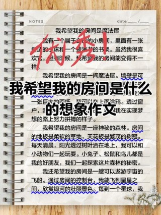 我的房间,说明文600字