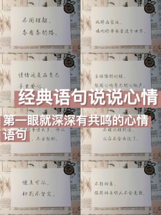 感情句子表达心情长句，情感长句，心海深处的情感波澜。
