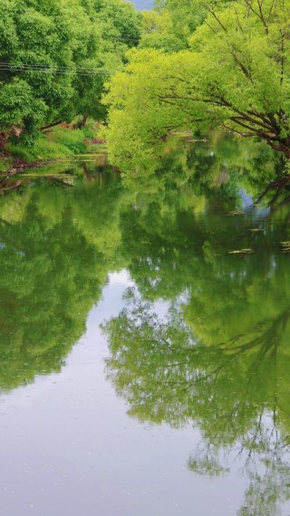 宁静的夏天