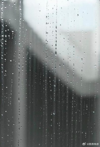 难过的雨丝