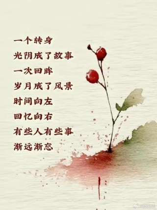 时光匆匆，我还在原地