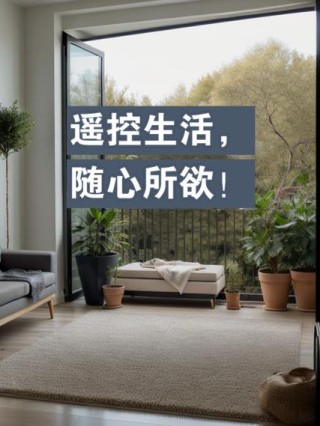 随心所欲
