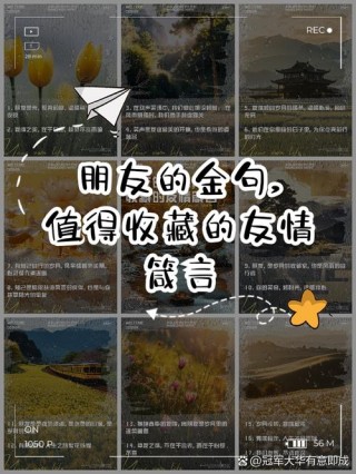 朋友之间友谊的经典句子