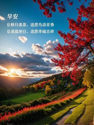 人生素淡绵长