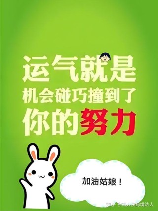 成功不是靠运气，而是靠努力