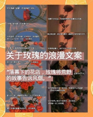 那些玫瑰不再，伤心难忘的高级文案