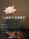心中无烦，心自安；放下昨天，风云淡，静心看世界，事事皆美好