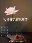 心中无烦，心自安；放下昨天，风云淡，静心看世界，事事皆美好