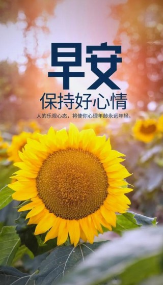 新周正能量早安图片心语句子：今天的努力，决定你明天的实力