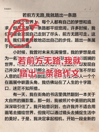 踏过的路高中读后感作文