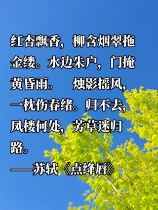 簌簌衣巾落枣花，那些诗词中的枣树