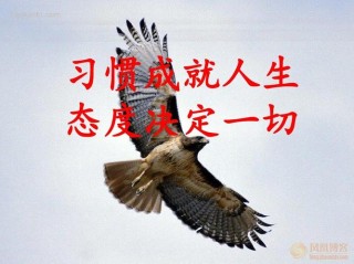 大气是一种人生态度