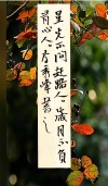 「每日一句」星光不问赶路人，时光不负有心人