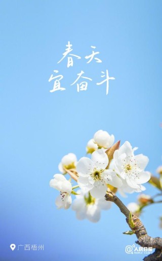 在奋斗的季节里守候花开