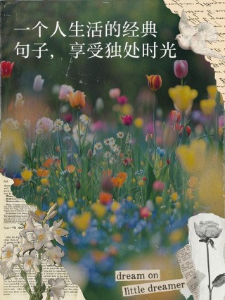 唯美短句语录：有人说，独处是美，沉默是金，在生命的进程中……