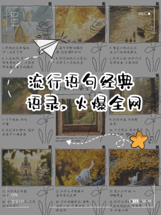 网络时尚潮句子，万里挑一，你见过几句？