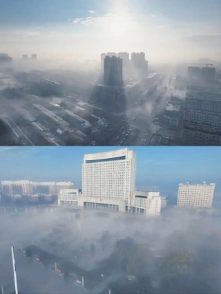 在雾的梦中