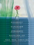 安静且强大的精选句子，好好爱自己，时间会解决一切