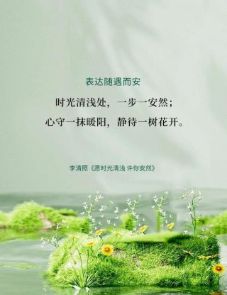 一个人的静好时光