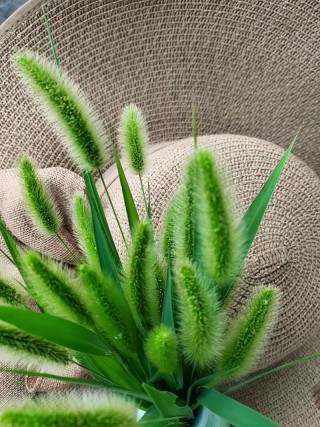 你就是一颗贱草